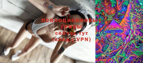 гашик Иноземцево