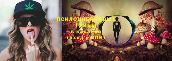 МДПВ Нестеровская